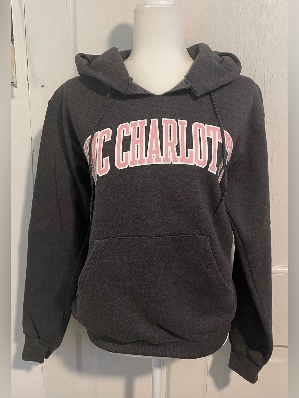 Vintage Champion UNC Charlotte Hoodie
